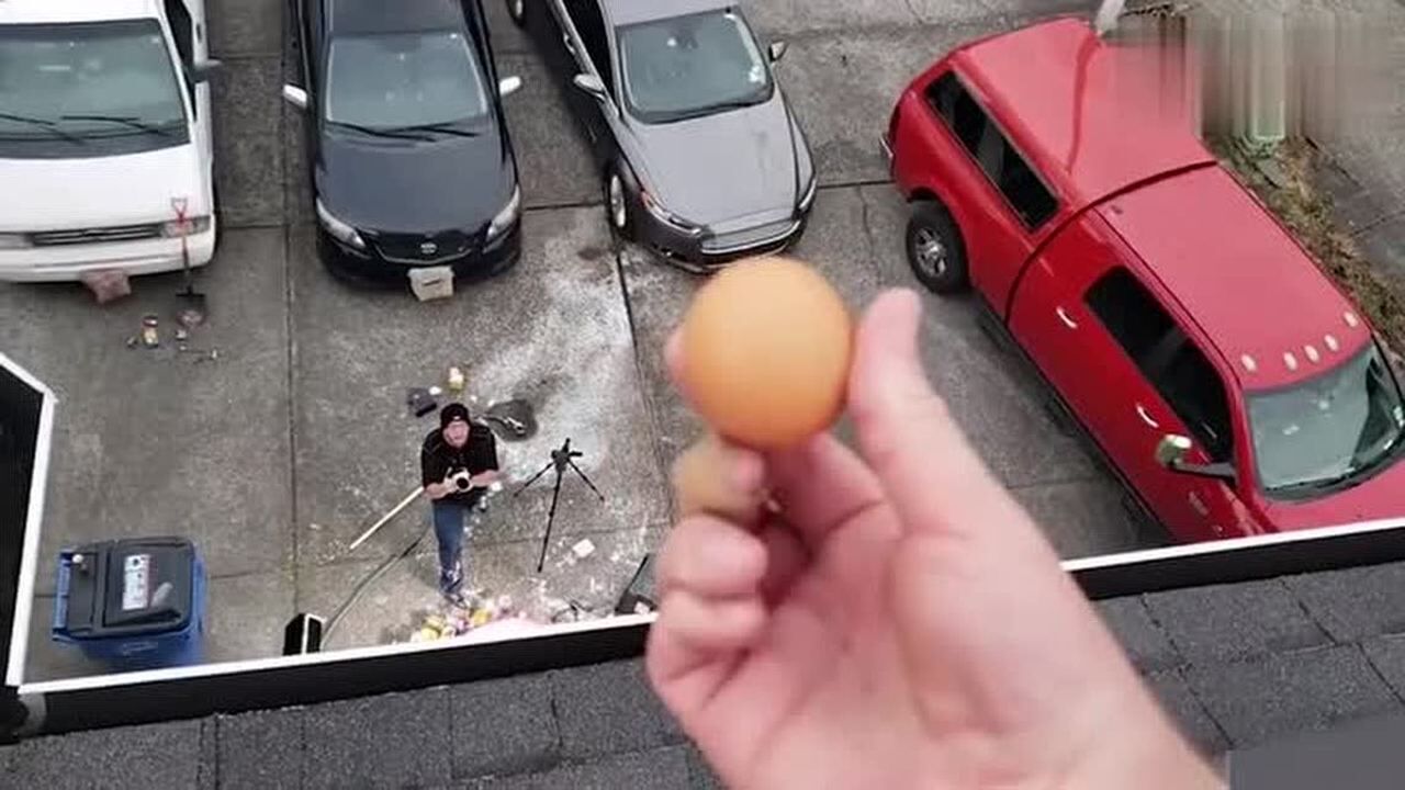 实验:把鸡蛋从高空扔到非牛顿流体上,会发生什么?