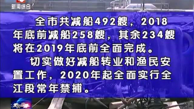 安庆:打造全国一流江豚自然保护区