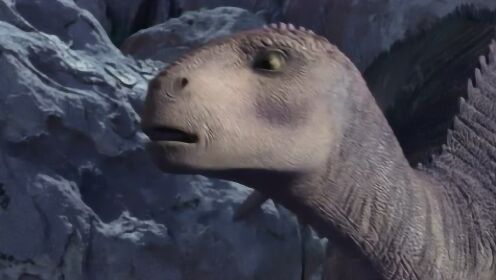 恐龙:食肉龙对艾力达大打出手!好惨啊