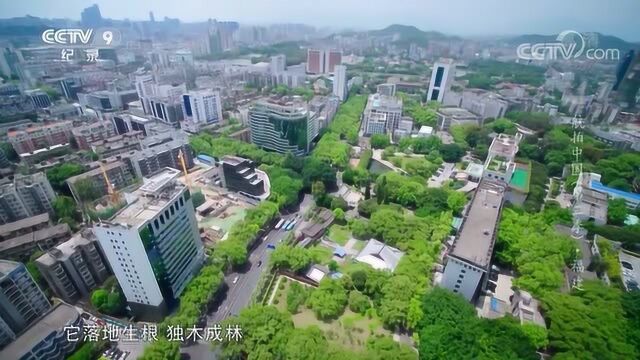 航拍中国福建篇:福州平潭CUT