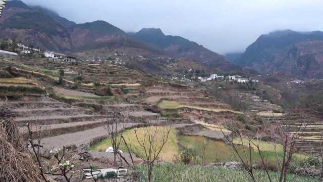 小伙到彝族山村去做客,这里人名字都四个字,路边还有野生山羊