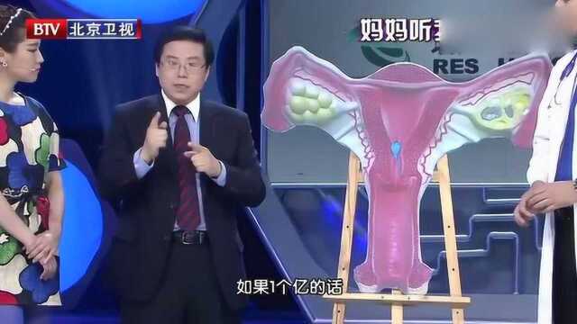 专家科普“受精卵”过程,当看到实际图片后,网友直呼:好神奇!