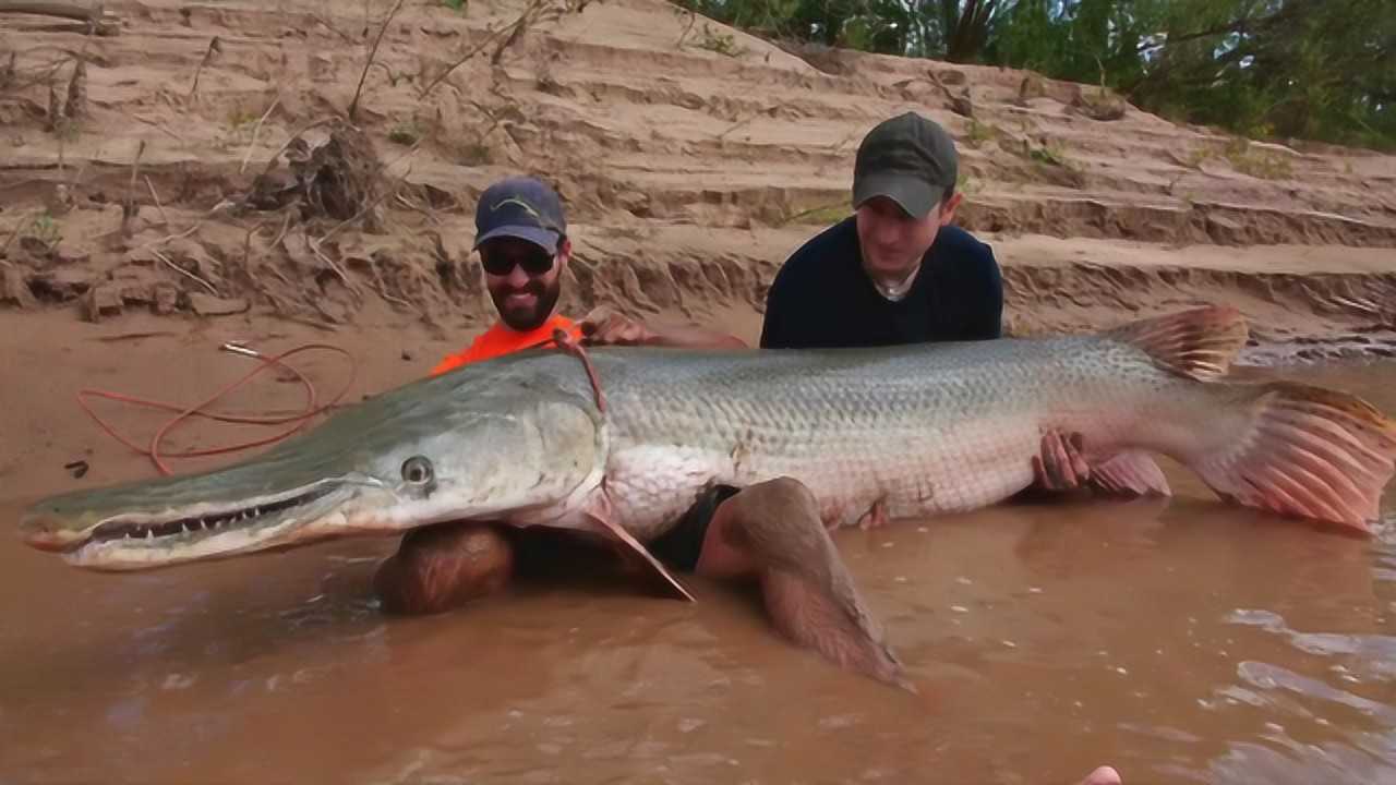 超级鳄雀鳝被钓获,两男子兴奋地抱着大鱼合影