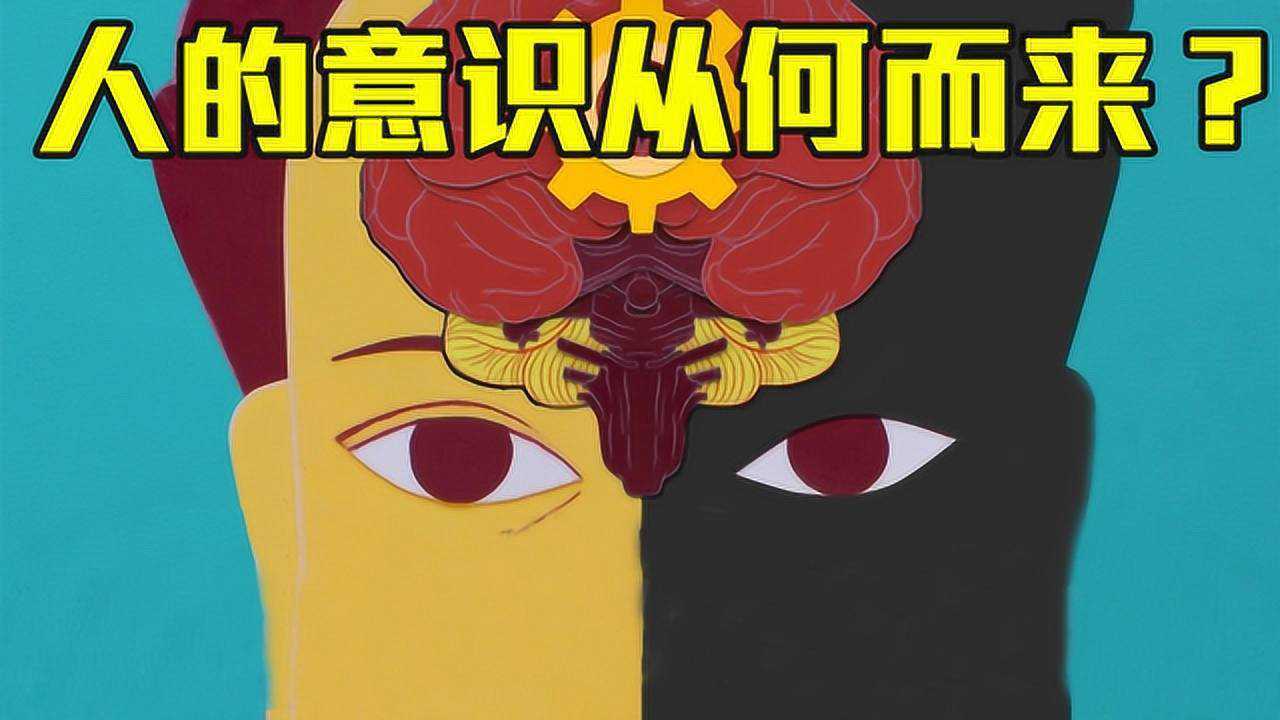科学探索意识的起源无意识的事物如何成为意识体