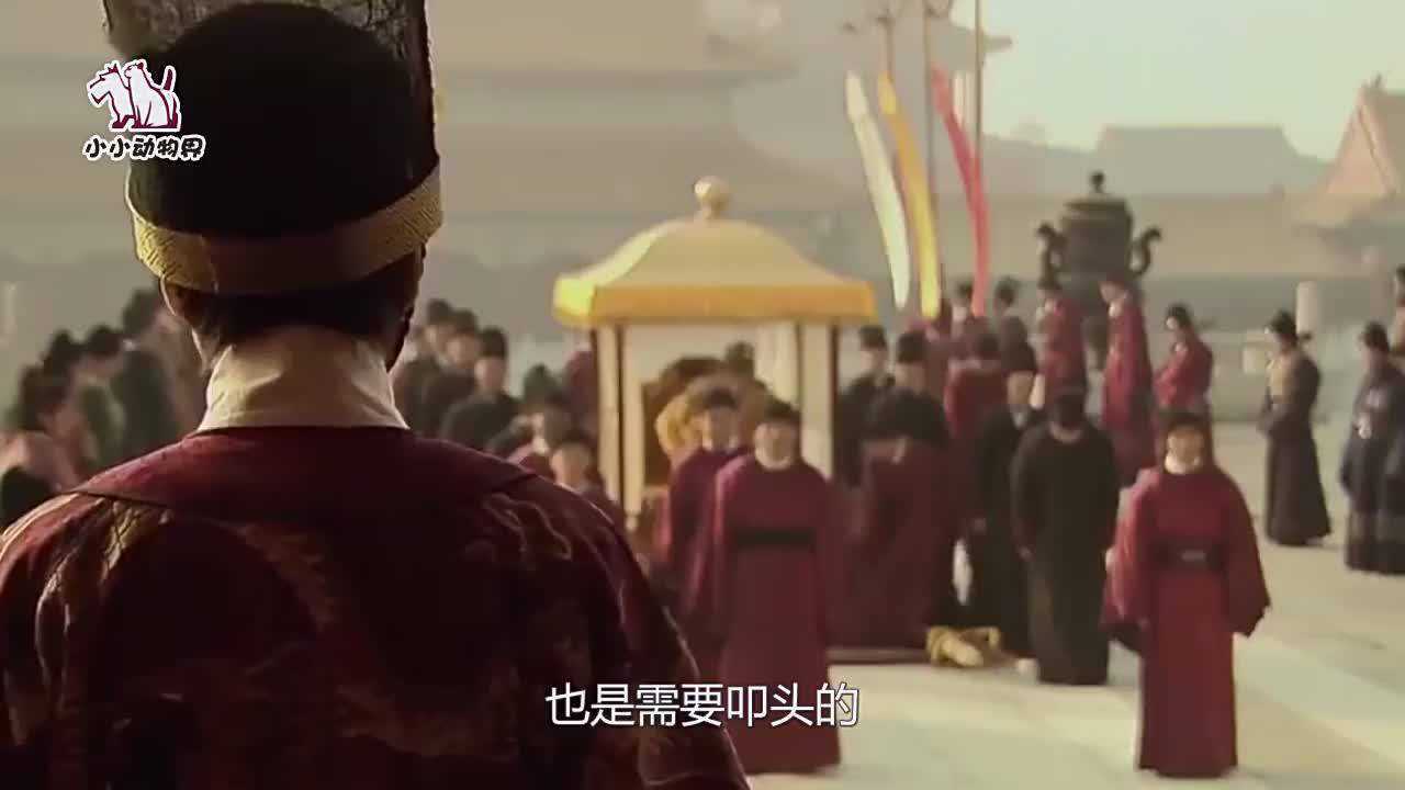奴才命的叩头虫,被抓住后,它就会不停的给你磕头_腾讯视频