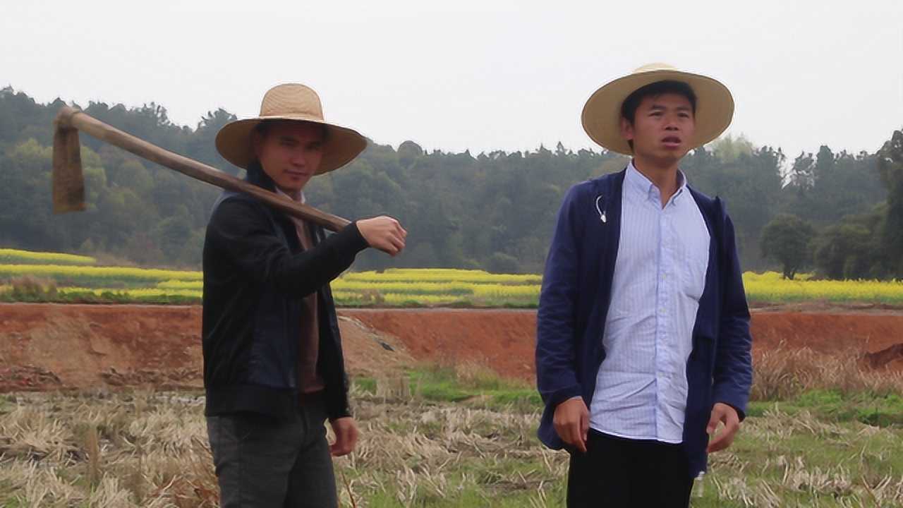 爷爷不在了农村兄弟俩分田地为一亩田互不相让结局搞笑