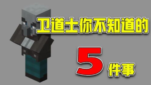 我的世界:卫道士你不知道的事,换个名字就可以我打我自己!