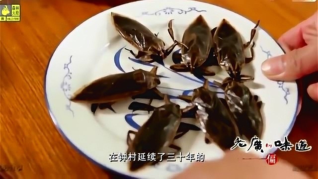 老广的味道,广州番禺的钟村三宝:卤水桂花蝉、龙虱 田鼠