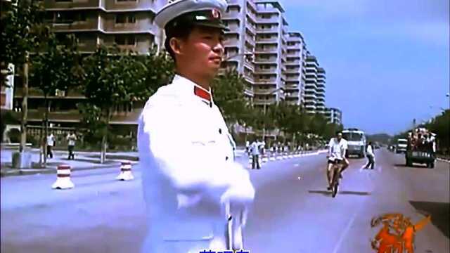 1981《莫让年华付水流》主题曲《莫让年华付水流》演唱:王洁实