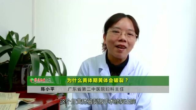 黄体破裂有生命危险!女人出现这些异常,说明黄体破裂了