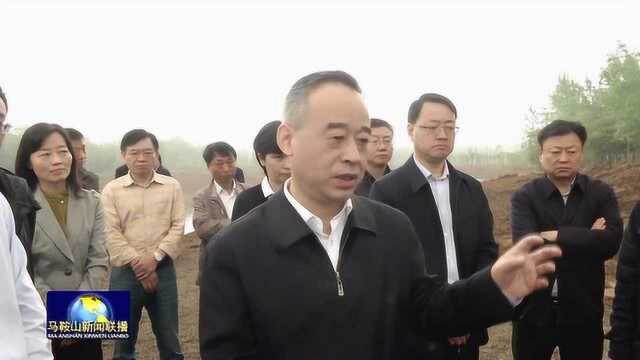 张岳峰:把握时间节点加大推进力度 确保整改工作取得实际成效