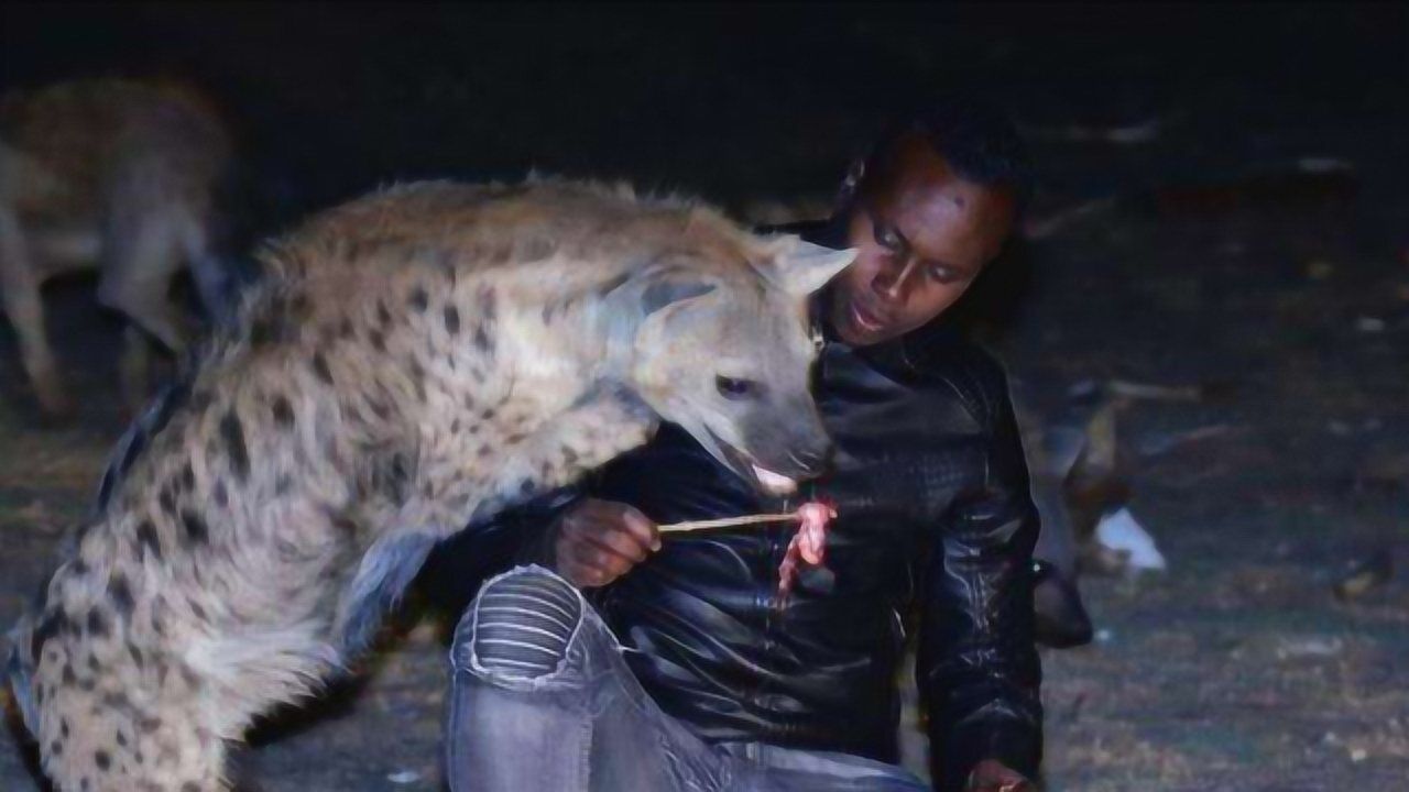 非洲一个神奇部落,闻风丧胆的鬣狗人手一只,被称为"地狱使者"