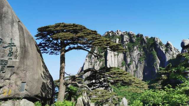 黄山一日游该怎么玩,看看我爬黄山都经历了什么,黄山旅游下集