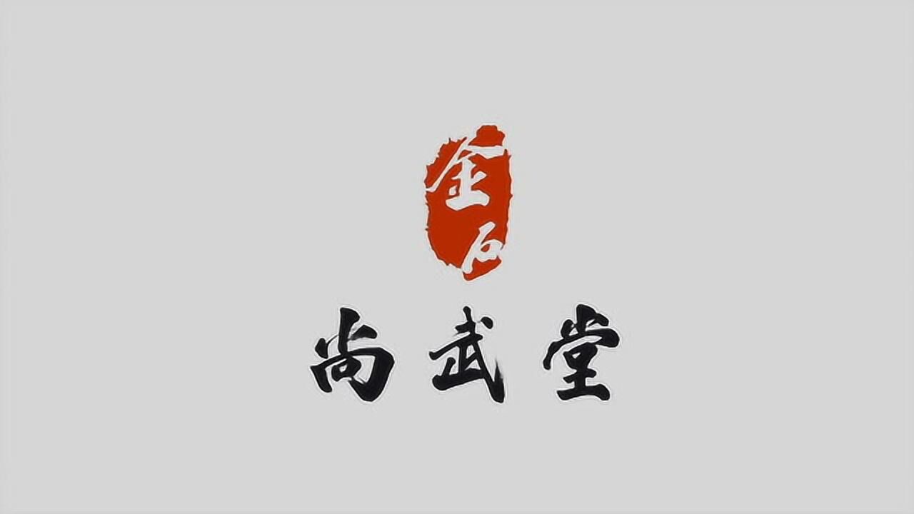 金石尚武堂 刘磊 陈氏太极拳