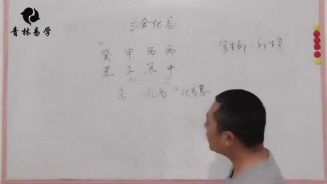 《渊海子平》算命法4:地支三合中的三合化忌局的讲解学习