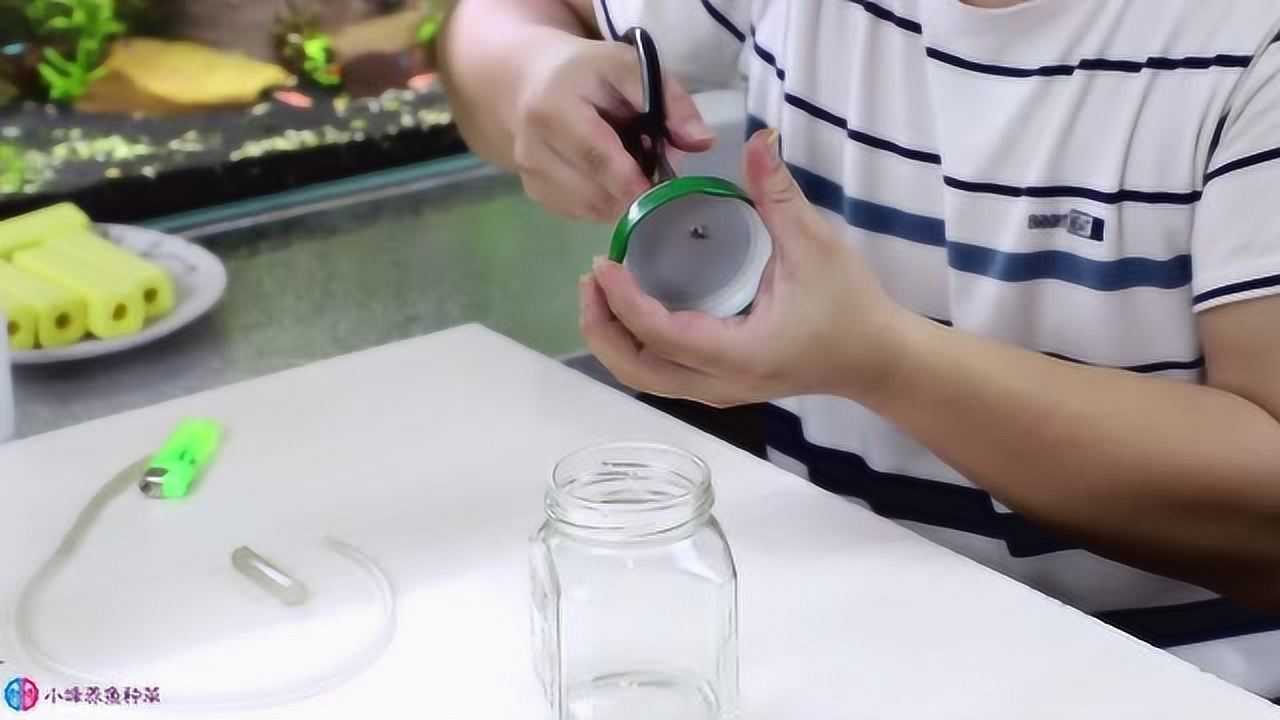 想把鱼带得更远氧气的制作要先学会即使密封鱼也可以存活7天