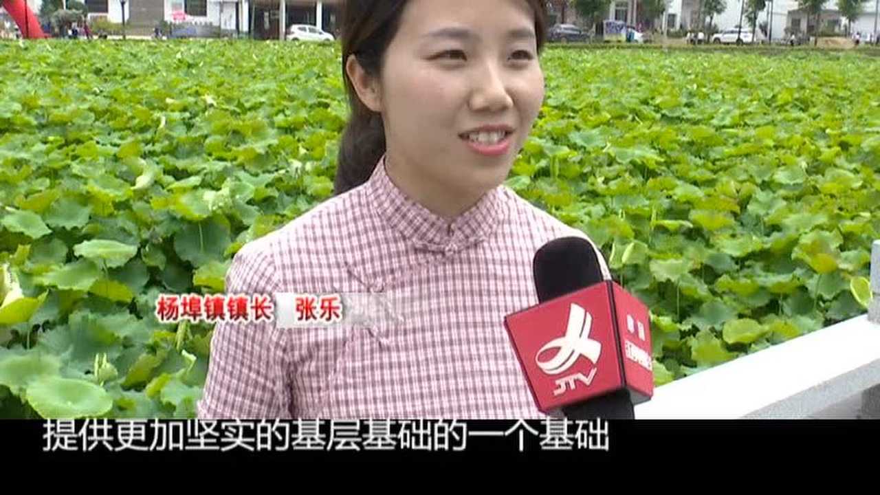 余干县杨埠镇开展民俗活动迎端午