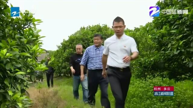 中国蓝新闻黄岩:专业定制生产基地 提升乡间小作坊