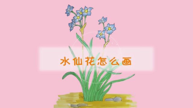 水仙花的简笔画怎么画