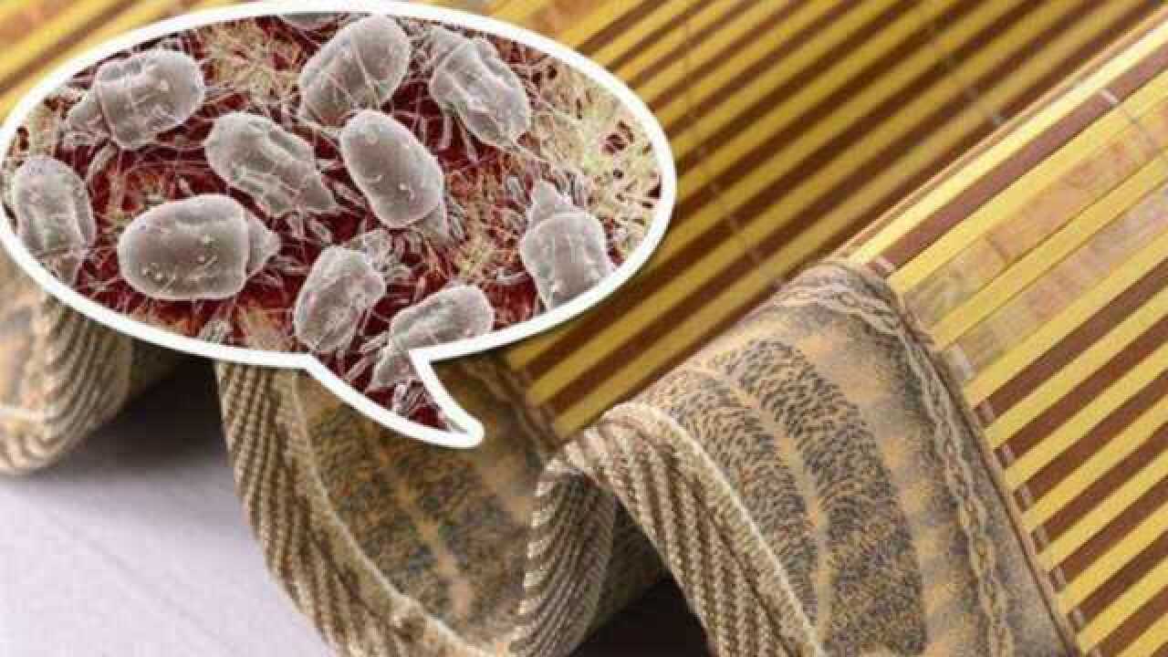 除螨仪从被子上吸出的东西,真的是"螨虫"吗?今天可算知道了!