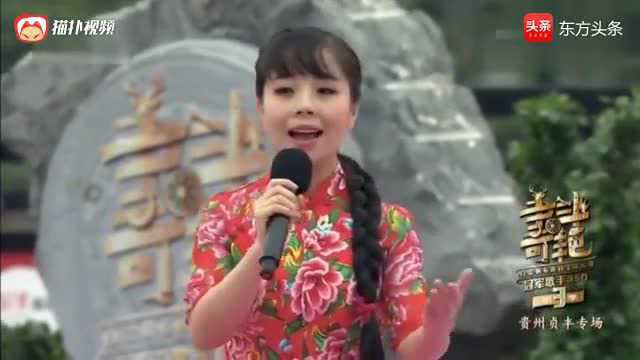 《桃花红》演唱:王二妮