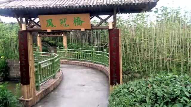 百竹夏景更比《春光美》