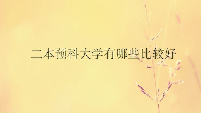 二本预科大学有哪些比较好