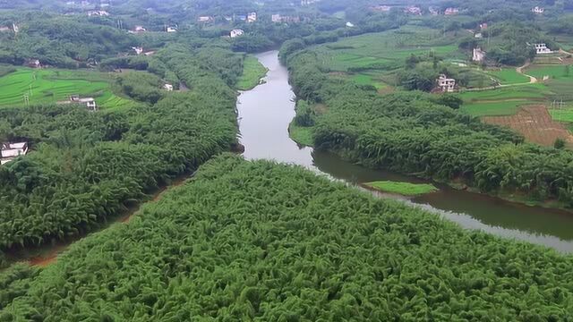 上天对四川宜宾真是太偏爱了!景色美得不像话!