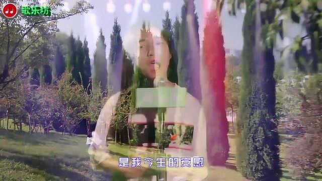 2018一曲《风与叶子》绿叶对根情意深, 风吹落叶无处寻!