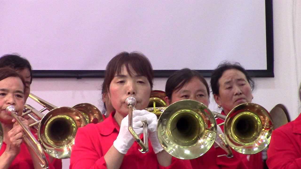 山阳秦恒演奏 满山的小羊