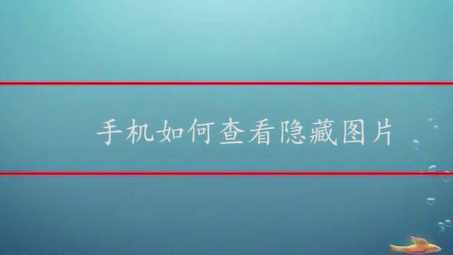 手机如何查看隐藏图片