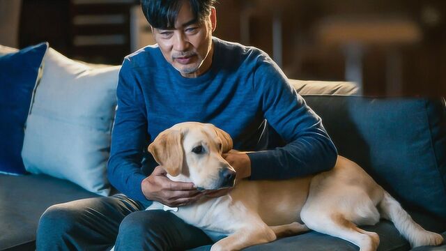 两分钟剧透《小Q》眼泪收割机,人狗缘分绵绵