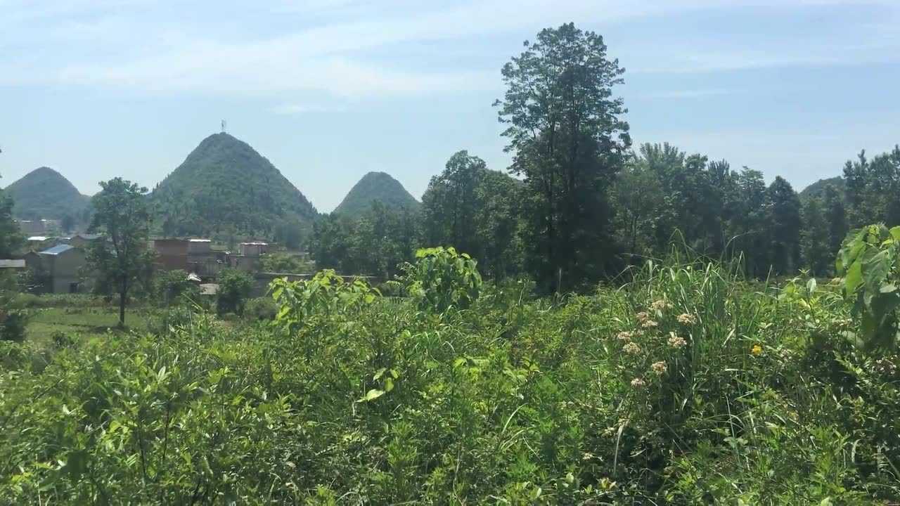 武漢風水大師王君植