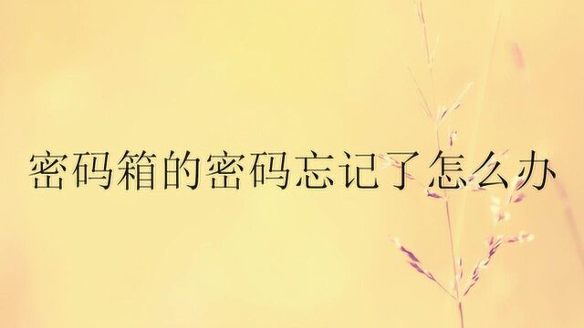 密码箱的密码忘记了怎么办