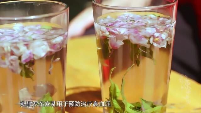 源味中国:新疆路边的小野花,居然是延年益寿的仙草