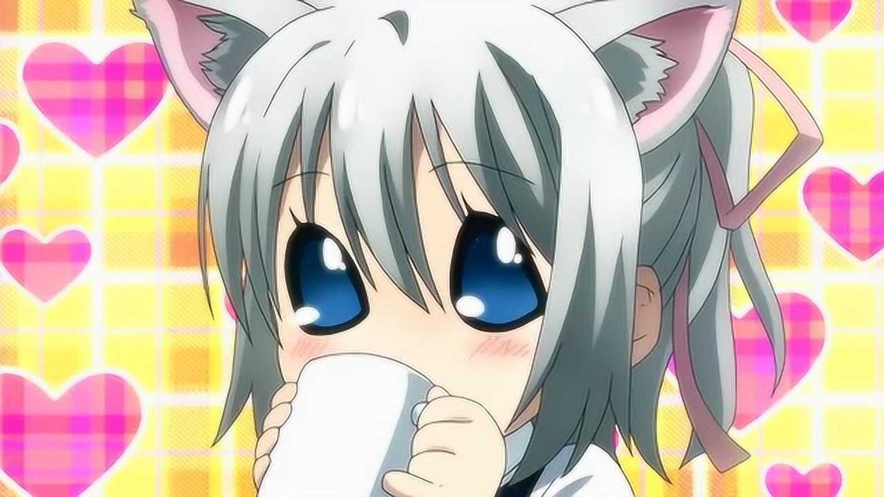 禁忌咒纹:伊姬变成猫耳娘真的好萌