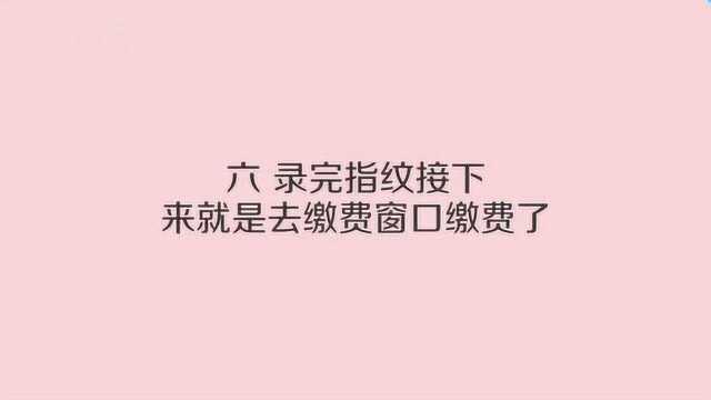 护照办理的流程是什么