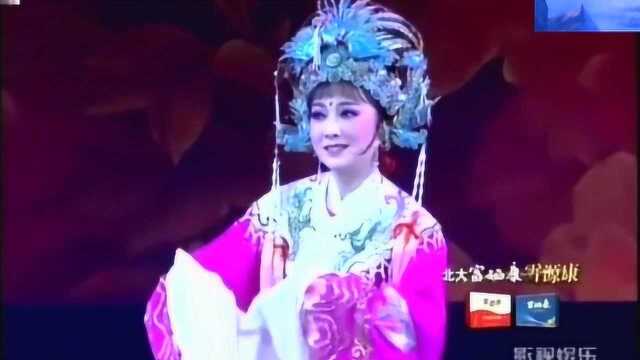 张永梅 吴凤花 越剧《打金枝 闯宫》 韵味无穷