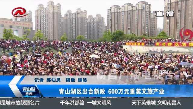 青山湖区出台新政 600万元重奖文旅产业