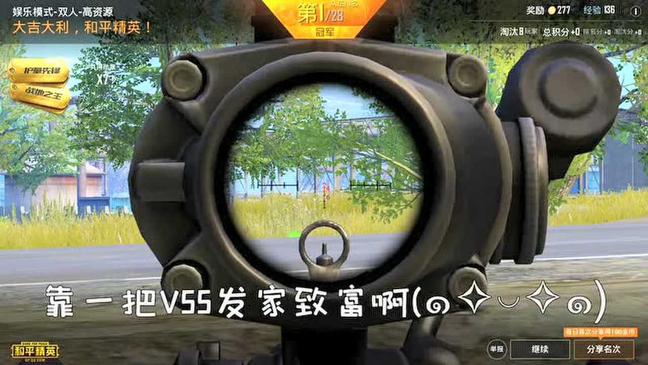 炮芯和平精英炮芯不愿说的秘密吃鸡神器就靠这把vss