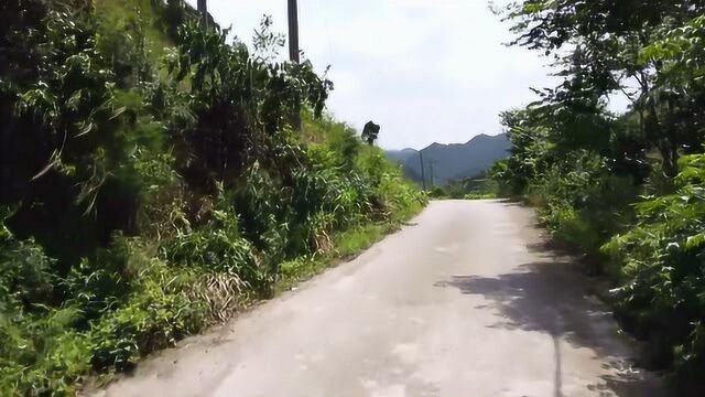 骑行在贵州大山,穿过大山,经过田野,还是喜欢贵州农村