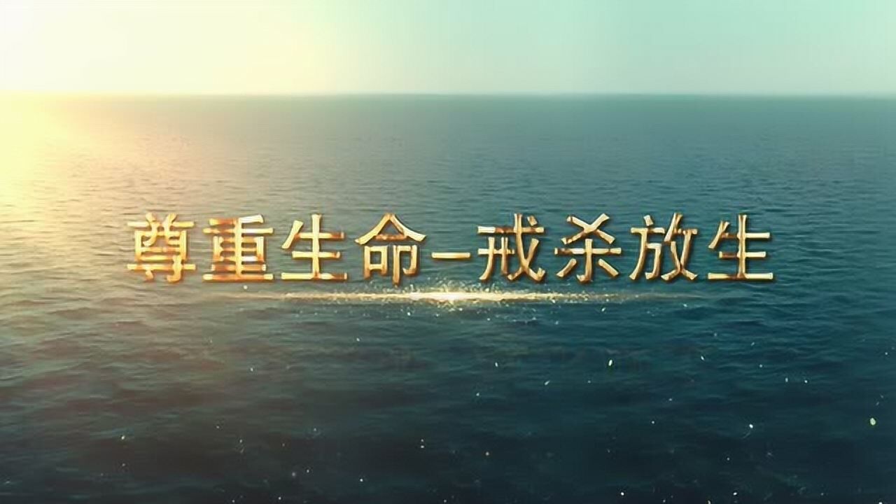 尊重生命戒杀放生