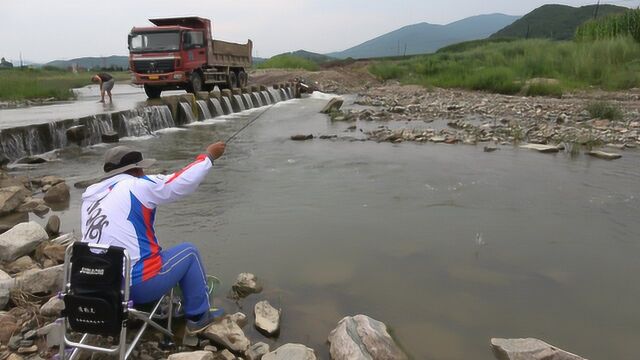 乡村小溪,七星漂随流而下,急流里钓溪鱼!