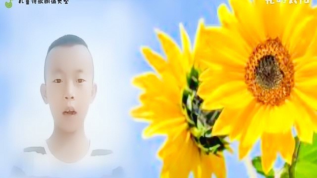 现代诗歌《花的太阳》朗诵配乐视频