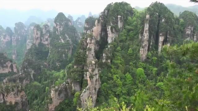 你看那绿油油的小草从土里钻出来,顽强的生长着