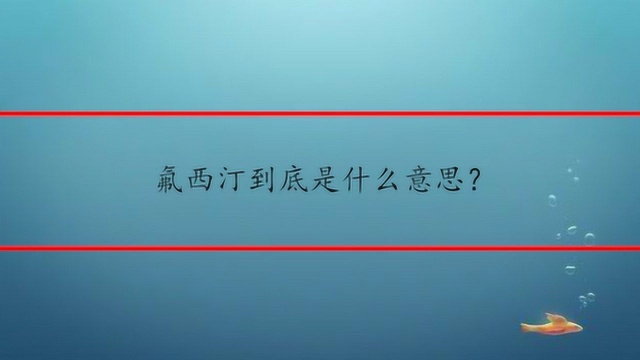 氟西汀到底是什么意思?