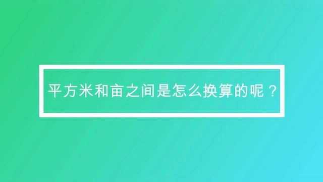 平方米和亩之间是怎么换算的呢?