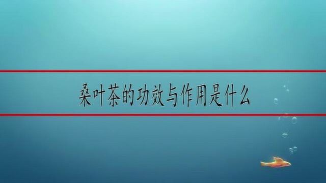 桑叶茶的功效与作用是什么