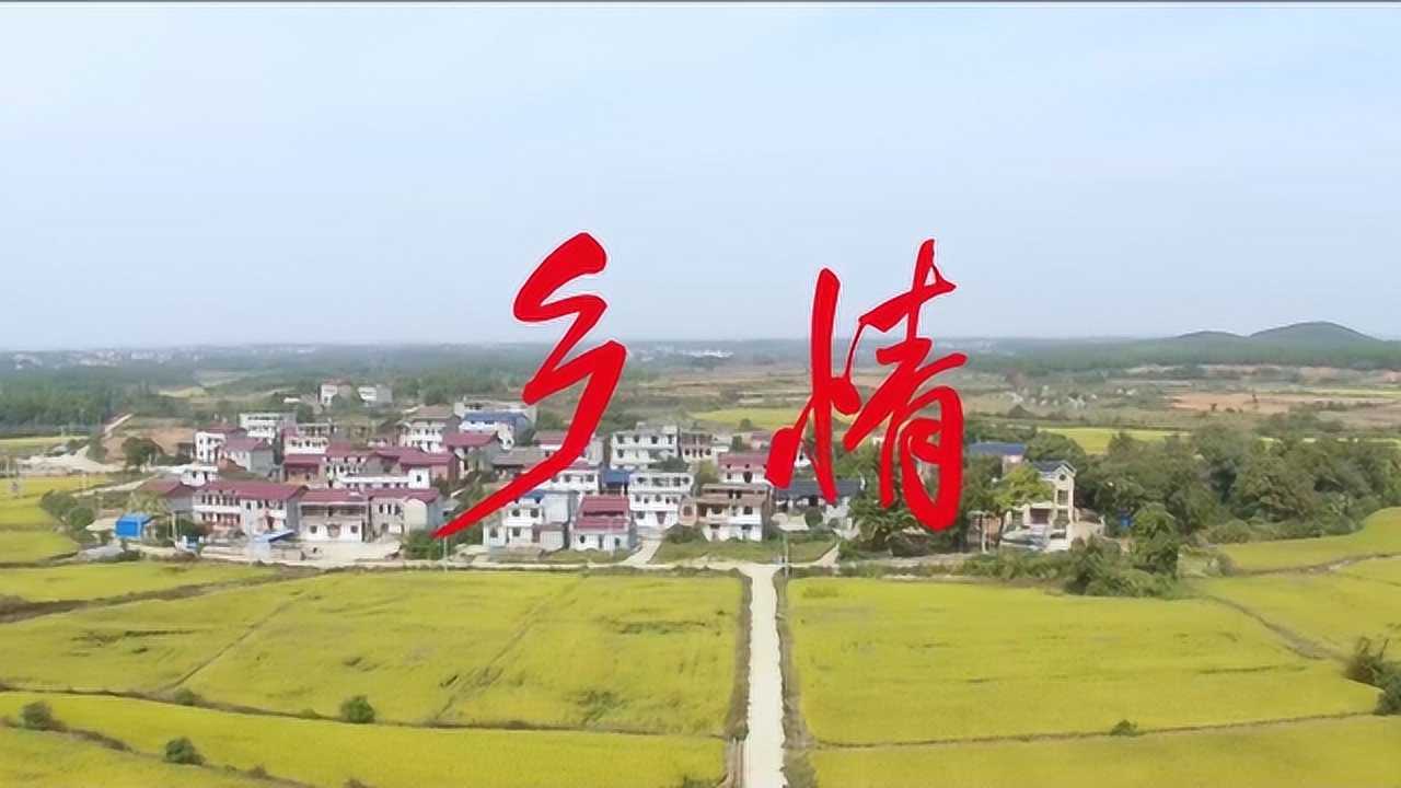 进贤微电影《乡情》