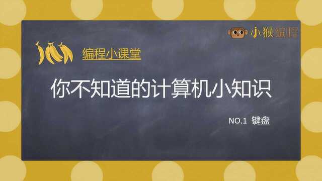 计算机小知识键盘